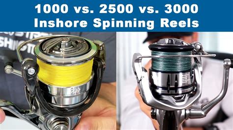 What Size Braid for 4000 Reel: A Comprehensive Discussion with FAQs